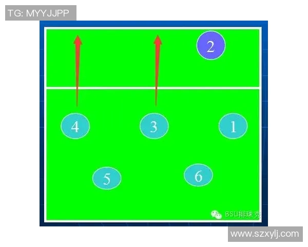 成都排球队防守策略揭秘深度分析排球技术与战术的完美结合
