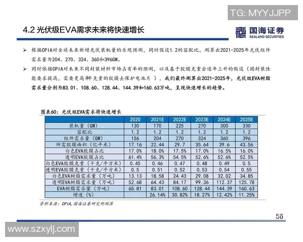 西安排球队技术解析与战术应用的深度探讨与研究 西安排球队技术解析与战术应用的深度探讨与研究