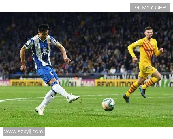 追逐梦想的绿茵传奇我的足球明星之路与成长故事 追逐梦想的绿茵传奇我的足球明星之路与成长故事