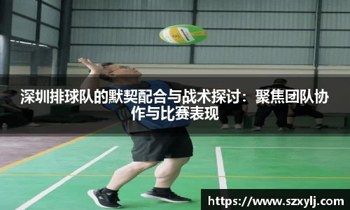 深圳排球队的默契配合与战术探讨：聚焦团队协作与比赛表现